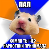 Лал Хомяк ты чё? ... Наркотики принимал?