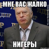 мне вас жалко нигеры