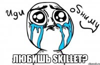  Любишь skillet?