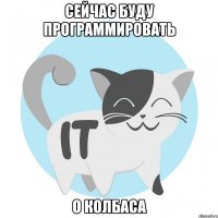 сейчас буду программировать о колбаса