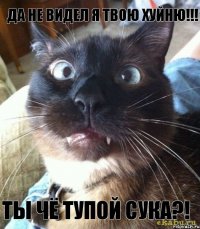 Да не видел Я твою хуйню!!! Ты чё тупой Сука?!