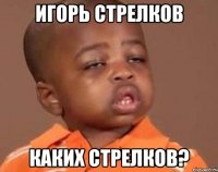 игорь стрелков каких стрелков?