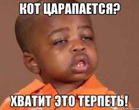 кот царапается? хватит это терпеть!