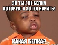 Эй ты,где белка которую я хотел курить! Какая белка?