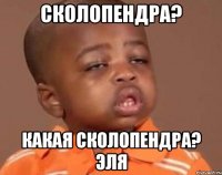 Сколопендра? Какая сколопендра? Эля