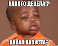 Какого Децела!? Какая капуста?