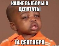 какие выборы в депутаты 14 сентября
