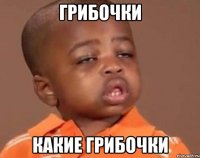 ГРИБОЧКИ КАКИЕ ГРИБОЧКИ