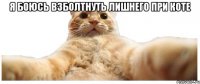 я боюсь взболтнуть лишнего при коте 