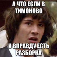 а что если в Тимоново и вправду есть разборка