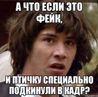 А что если это фейк, и птичку специально подкинули в кадр?