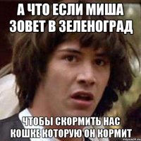 А что если миша зовет в Зеленоград чтобы скормить нас кошке которую он кормит