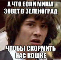 А что если миша зовет в Зеленоград чтобы скормить нас кошке