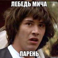 лебедь мича парень