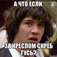а что если, за креслом скреб гусь?