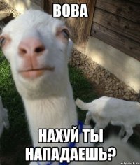 Вова нахуй ты нападаешь?