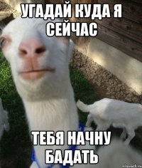 угадай куда я сейчас тебя начну бадать
