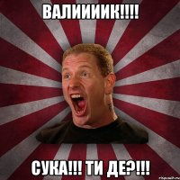 ВАЛИИИИК!!!! СУКА!!! ТИ ДЕ?!!!