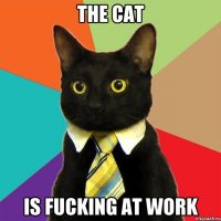 The cat Is fucking at work