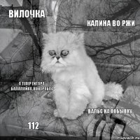 вилочка калина во ржи 112 вальс на побывку а тепер гитара, балалайка, контрабас