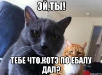 Эй,ты! Тебе что,котэ по ебалу дал?