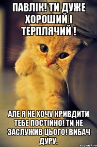 Павлік! Ти дуже хороший і терплячий ! Але я не хочу кривдити тебе постійно! ти не заслужив цього! ВИБАЧ ДУРУ.