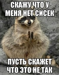 Скажу что у меня нет сисек Пусть скажет что это не так