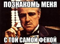 Познакомь меня с той самой ФЕКой