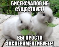 Бисексуалов не существует! Вы просто экспериментируете!