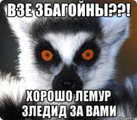 Взе збагойны??! Хорошо лемур зледид за вами