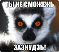 ты не сможежь зазнудзь!