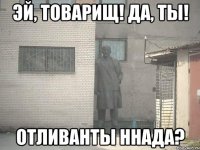 Эй, товарищ! да, ты! отливанты ннада?