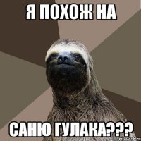 Я похож на Саню гулака???