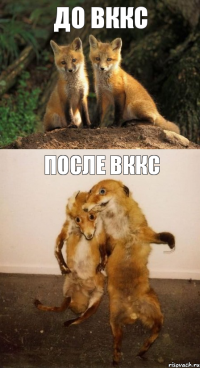 До ВККС После ВККС