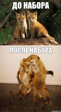 До набора после набора