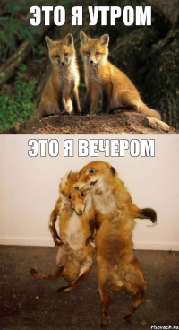 ЭТО Я УТРОМ ЭТО Я ВЕЧЕРОМ