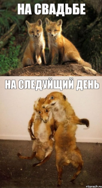 на свадьбе на следуйщий день