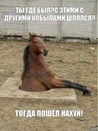 Ты где был?С этими с другими кобылами шлялся? Тогда пошёл нахуй!
