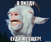 В пизду Еуда же еще?!