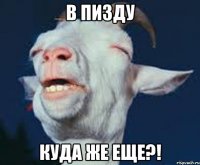 В пизду Куда же еще?!