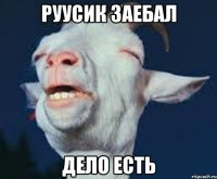 Руусик заебал Дело есть