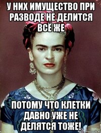 У них имущество при разводе не делится всё же потому что клетки давно уже не делятся тоже!