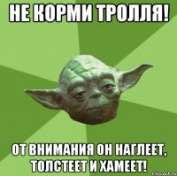 Не корми тролля! От внимания он наглеет, толстеет и хамеет!