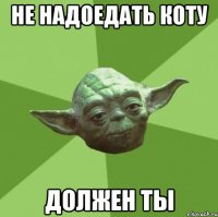 не надоедать коту должен ты