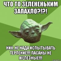 ЧТО то зелененьким запахло?!?! НИК, НЕ НАДА ИСПЫТЫВАТЬ ТЕРПЕНИЕ!!! ПАСАНЫ НЕ ЖЕЛЕЗНЫЕ!!!