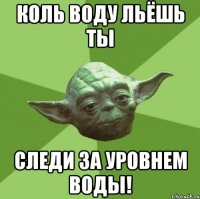 КОЛЬ ВОДУ ЛЬЁШЬ ТЫ СЛЕДИ ЗА УРОВНЕМ ВОДЫ!