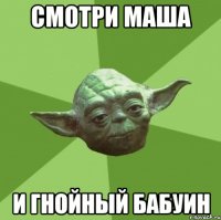 Смотри маша И гнойный бабуин