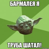 Бармалея я труба шатал!