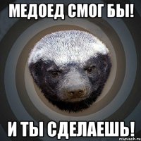 Медоед смог бы! И ты сделаешь!