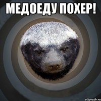 Медоеду похер! 